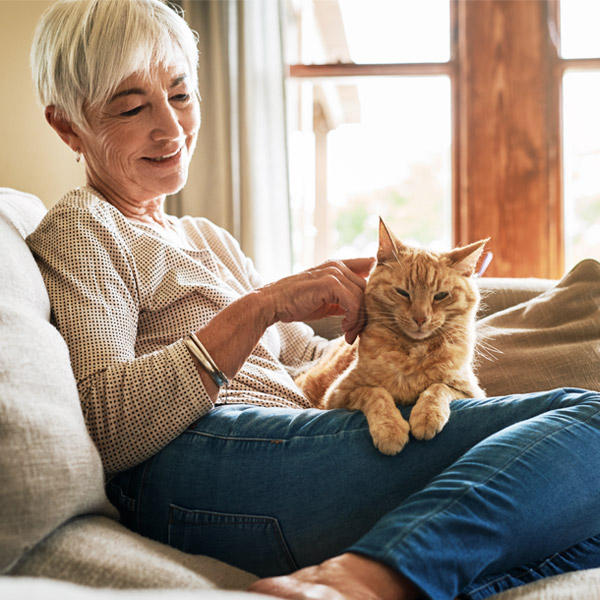 mature woman petting a cat on her lap