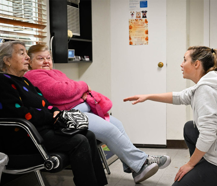 vet discussing with clients