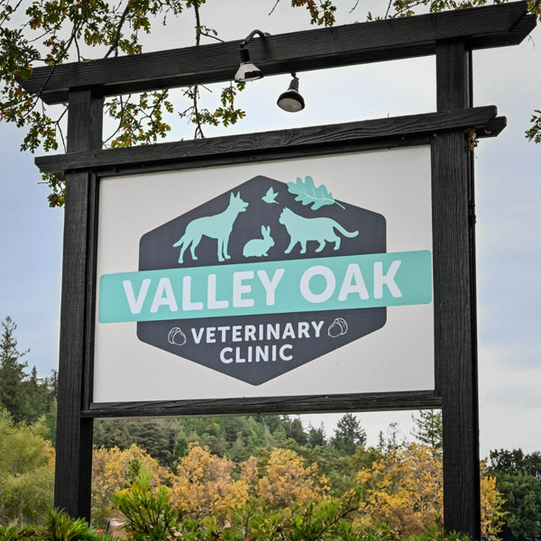 valley oak sign